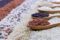 Five kinds of rice on wooden spoon