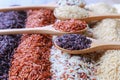 Five kinds of rice on wooden spoon