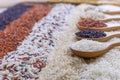 Five kinds of rice on wooden spoon