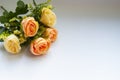 Five large cream roses on a white background. Festive background