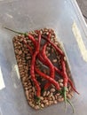 Five large red chili peppers and soybean seeds in a plastic container