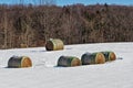 Five Large Rolled Hay Bales in Snowy Field