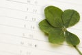 Five Leaf Clover and 13 Friday