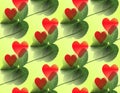 Five-leaf clover green with red hearts overlaying and diagonally.