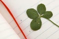 Five Leaf Clover and New Day.