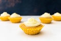 Five frosted cupcakes against a dark blue and copper background