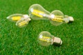 Five light bulbs on grass close up