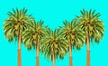 Five Lush Palm Trees Towering Against a Light Blue Sky
