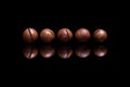 Five macadamia nuts on black reflective background Royalty Free Stock Photo