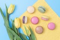 Five macaroons on yellow paper on a blue background. Royalty Free Stock Photo