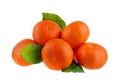 Five mandarins on one branch with green leaves on a white background isolated closeup Royalty Free Stock Photo