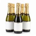 Five Mini Champagne Bottles with Blank Labels Royalty Free Stock Photo