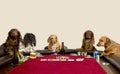 Five Mini Dachshunds playing a game of poker