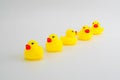 Five mini rubber ducks in a row. Two facing each other talking