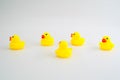 Five mini yellow rubber ducks in a random placed group. Getting