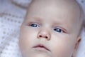 Five month baby boy blue eyes Royalty Free Stock Photo