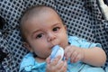 Five months old baby boy playing in the pushchair Royalty Free Stock Photo