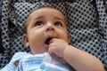 Five months old baby boy playing in the pushchair Royalty Free Stock Photo