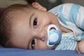 Five months old baby boy playing in the pushchair Royalty Free Stock Photo