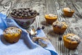 Five muffins with black currants front view, horizontal frame Royalty Free Stock Photo