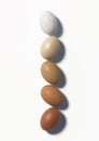 Five multi colored chicken eggs lie in a row on a white background. Top view. 3D render.