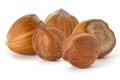 Five nuts hazelnut not purified and purified  on white background. Full depth of field Royalty Free Stock Photo