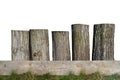 Five old tree trunks standing in a row on a wooden board, visible green grass, isolated on white background with clipping path.