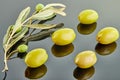 Five olives with olive tree branch with fruits lying on a gray background Royalty Free Stock Photo