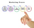 Components of Marketing Process Royalty Free Stock Photo
