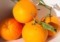 Five oranges with leaves one on top of the other Royalty Free Stock Photo