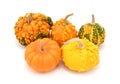 Five ornamental gourds, orange, green and yellow