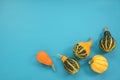 Five ornamental gourds and squash on a turquoise background