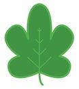 Five part leaf, icon