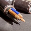Five pencils in a pencil case Royalty Free Stock Photo