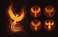 five phoenix birds icons Royalty Free Stock Photo