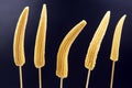 Five pickled corn on a fork close-up on a dark blue background. food and vegetables