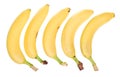 Five pieces of bananas isolated on white background. Banana icon. Banana image