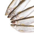 Five pieces of raw delicacy smelt-fish on white background before cooking protein diet dish