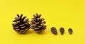 Five pinecones on a yellow background