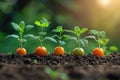 Vibrant Young Tomato Plants Growing in Rich Soil Royalty Free Stock Photo
