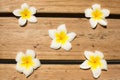 Five Plumerias on The Wooden Table - Samut Sakhon, Thailand