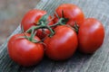 Five plump vine-ripened tomatoes Royalty Free Stock Photo