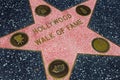 Star of Hollywood Walk of Fame in Hollywood Boulevard, Los Angeles, California