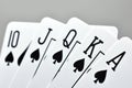 Royal state flush in spades Royalty Free Stock Photo