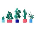 Five potted houseplants in colorful pots, flat style indoor plants. Modern home decor, plant collection vector
