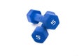 Five Pound Dumbbells