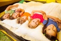 Five pretty kids lay covered with blanket Royalty Free Stock Photo