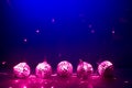 Five purple disco balls reflectoin lights