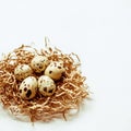 Five quail eggs in the nest on white background. Royalty Free Stock Photo
