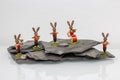 Five rabbits play music on a rock Royalty Free Stock Photo